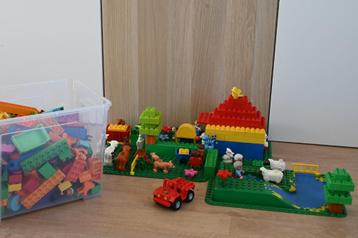 Duplo losse stenen en veel boerderijdieren beschikbaar voor biedingen