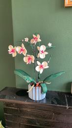 Lego orchidee, Ophalen, Zo goed als nieuw
