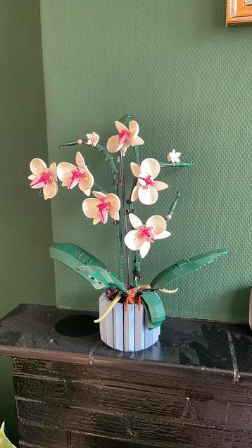 Lego orchidee beschikbaar voor biedingen
