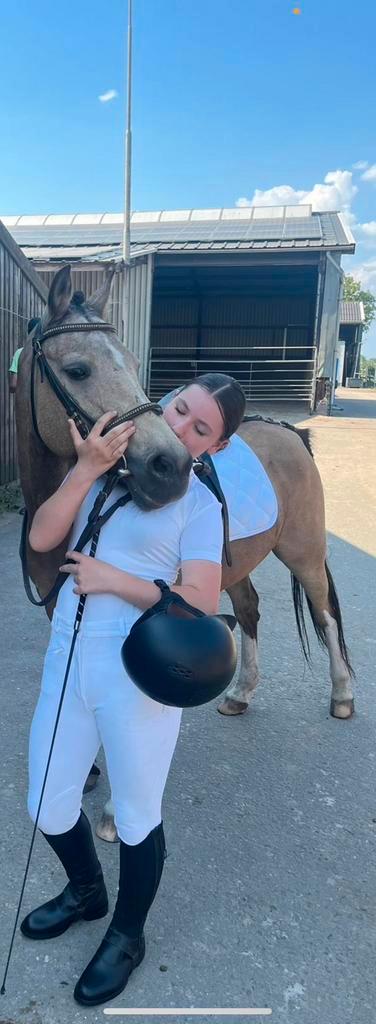Verzorg pony gezocht/verzorger aangeboden, Dieren en Toebehoren, Paarden en Pony's | Verzorgingsproducten, Zo goed als nieuw, Ophalen