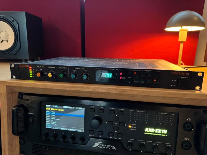 Roland SDE-1000 Digital Delay - Vintage Rack Effect, Muziek en Instrumenten, Effecten, Gebruikt, Delay of Echo, Ophalen of Verzenden