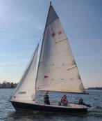 Laser 16 met trailer, Watersport en Boten, Ophalen, Gebruikt, Elektrisch, Laser