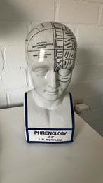 Phrenology (studie hoofd) buste, Ophalen of Verzenden