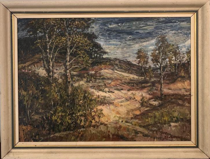 J. Zwanenberg, boslandschap, olieverf op doek, Antiek en Kunst, Kunst | Schilderijen | Klassiek, Ophalen of Verzenden