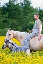 Stalhulp aangeboden, Dieren en Toebehoren, Ophalen of Verzenden, Dressuur
