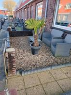 Gebruikte Grind - Tuinmateriaal - Gratis op te halen, Tuin en Terras, Grind, Keien en Split, Ophalen, Overige materialen, Gebruikt