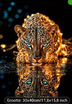 Maak je eigen schilderij met Diamond painting, Ophalen of Verzenden, Nieuw