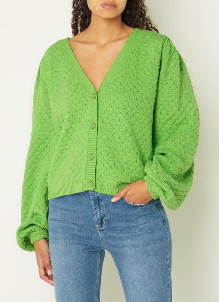 Fabienne chapot grofgebreid vest nieuw, Kleding | Dames, Truien en Vesten, Nieuw, Maat 36 (S), Groen, Ophalen of Verzenden