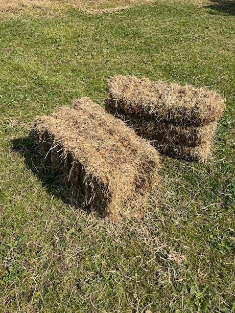 Hooi baaltjes, Dieren en Toebehoren, Dierenvoeding, Vee, Ophalen