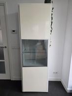 Moderne Woonkamer inrichting met Glazen Details, Huis en Inrichting, Kasten | Boekenkasten, Ophalen, 200 cm of meer, 50 tot 100 cm