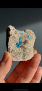 Pentagoniet uit India, Ophalen of Verzenden, Mineraal