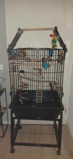 Papegaai kooi Verrijdbaar, Dieren en Toebehoren, Vogels | Hokken en Kooien, Ophalen, Gebruikt, Metaal, Vogelkooi