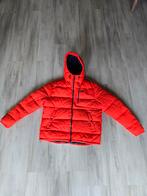 Jack & Jones Gewatteerde Winterjas XXL - Knalrood, Overige maten, Ophalen of Verzenden, Zo goed als nieuw, Rood