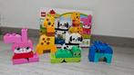 Duplo set 10573, Ophalen of Verzenden, Zo goed als nieuw, Duplo