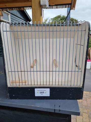 Kleine tt kooien beschikbaar voor biedingen