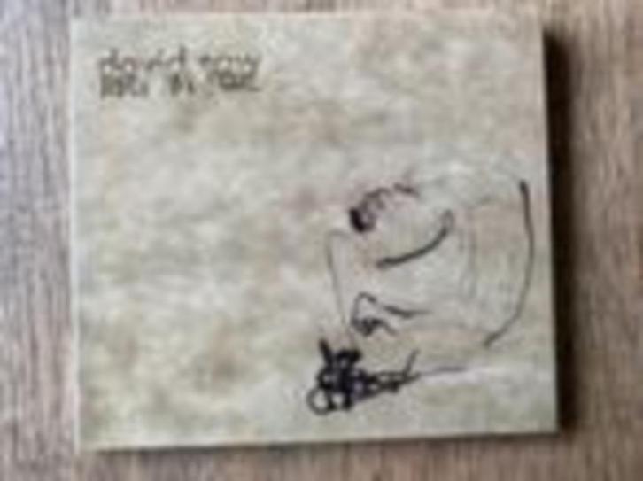 David Saw, Cd's en Dvd's, Cd's | Overige Cd's, Zo goed als nieuw, Ophalen of Verzenden