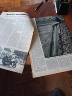 Artikel over de TT motorraces Assen 1954, Ophalen of Verzenden, 1940 tot 1960, Krant
