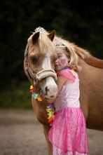 Super lieve en mooie Welsh A-pony, Dieren en Toebehoren, Merrie, Gechipt, M, Springpony