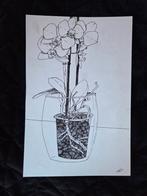 Fijne Lijn Tekening van Orchidee op A4, Antiek en Kunst, Ophalen of Verzenden