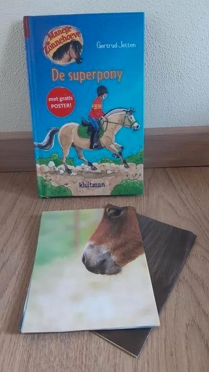 Gertrud Jetten - De superpony, Boeken, Kinderboeken | Jeugd | onder 10 jaar, Zo goed als nieuw, Ophalen of Verzenden