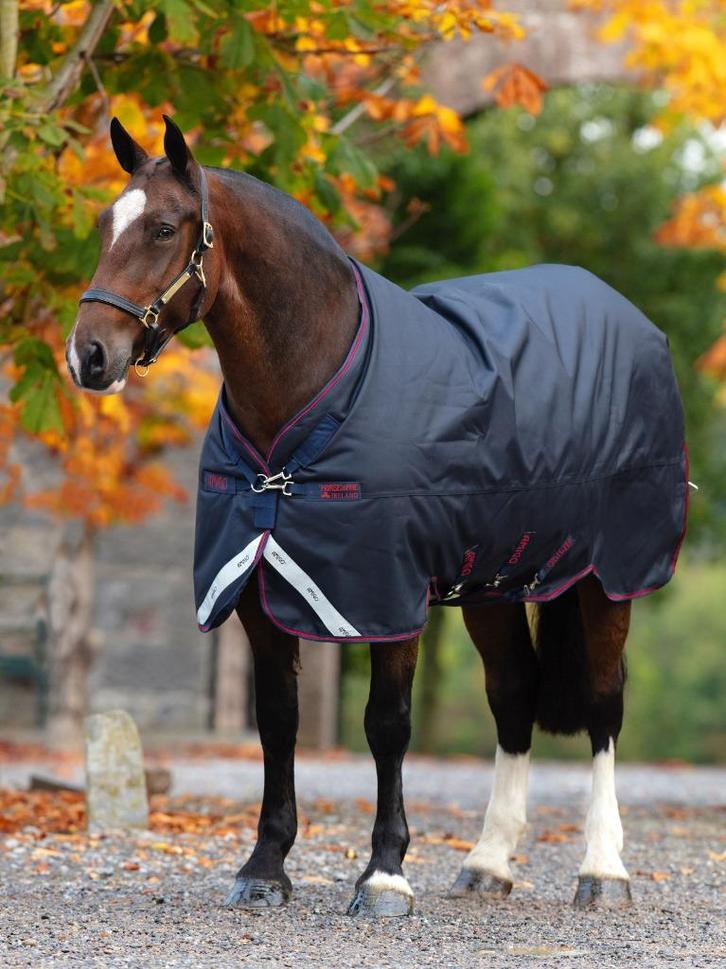 Amigo Bravo 12 XL Lite 0gr. 175, 183, 191, 198, 206, 213,221, Dieren en Toebehoren, Paarden en Pony's | Dekens en Dekjes, Nieuw