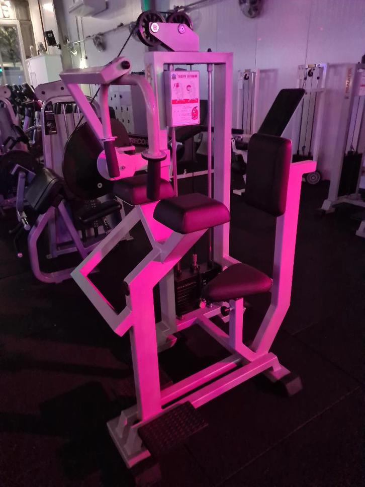 Panatta Triceps Extension Machine, Sport en Fitness, Fitnessmaterialen, Gebruikt, Overige typen, Armen, Benen, Borst, Buik, Rug