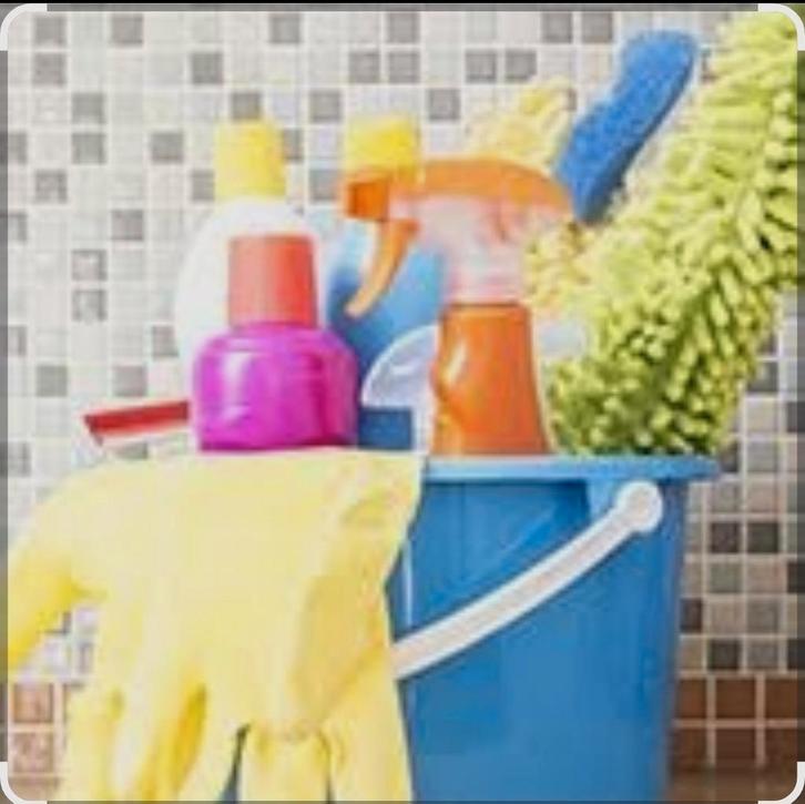 Ik werk in de schoonmaak als zzp'r, Vacatures, Vacatures | Schoonmaak en Facilitaire diensten, Vanaf 5 jaar, Overige vormen, Geschikt als bijbaan