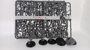 Warhammer Age of Sigmar Witch Elves beschikbaar voor biedingen