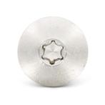 50-200 st Trespa schroeven RVS blank 5,5X45 blank gevel muur, Verzenden, Nieuw