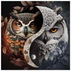 Diamond paintings 50x50 vierkante steentjes, Diamond painting world 2021@gmail.com, Nieuw, Ophalen of Verzenden, Knutselwerk