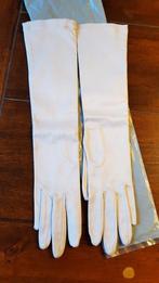 Lange zijden vintage handschoenen Christian Dior, Kleding | Dames, Mutsen, Sjaals en Handschoenen, Handschoenen, Ophalen of Verzenden
