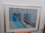 zeefdruk Theo van den Akker kunstenaar serigrafie, Antiek en Kunst, Kunst | Litho's en Zeefdrukken, Ophalen