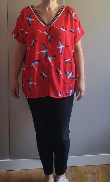 Shirts maat 50/52 beschikbaar voor biedingen