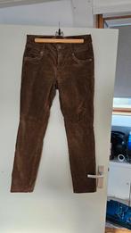 Red button ribbroek, Ophalen of Verzenden, Zo goed als nieuw, Maat 38/40 (M), Lang