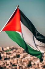 Nieuwe grote XL Palestina Palestijnse vlaggen, Diversen, Vlaggen en Wimpels, Nieuw, Ophalen of Verzenden