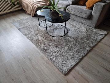 Vloerkleed lichtgrijs 160x230cm - fluffy zacht