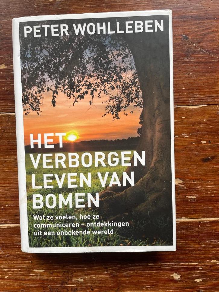 Peter Wohlleben Het verborgen leven van bomen 2016, Boeken, Esoterie en Spiritualiteit, Zo goed als nieuw, Achtergrond en Informatie