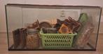 Terrarium + toebehoren voor hamster, Gebruikt, 75 tot 110 cm, Ophalen, Minder dan 60 cm