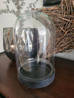 Glazen stolp met zwarte voet, Ophalen of Verzenden, Zo goed als nieuw