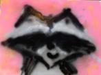 Graffiti “wasbeer” van onbekende kunstenaar(es), Antiek en Kunst, Ophalen