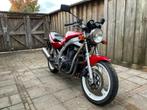 Suzuki gs500e A2 motor, 2 cilinders, 487 cc, Particulier, Minimaal motorrijbewijs A2