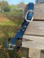 Halster blauw zwart - pony Shetlander, Ophalen of Verzenden, Nieuw, Overige soorten