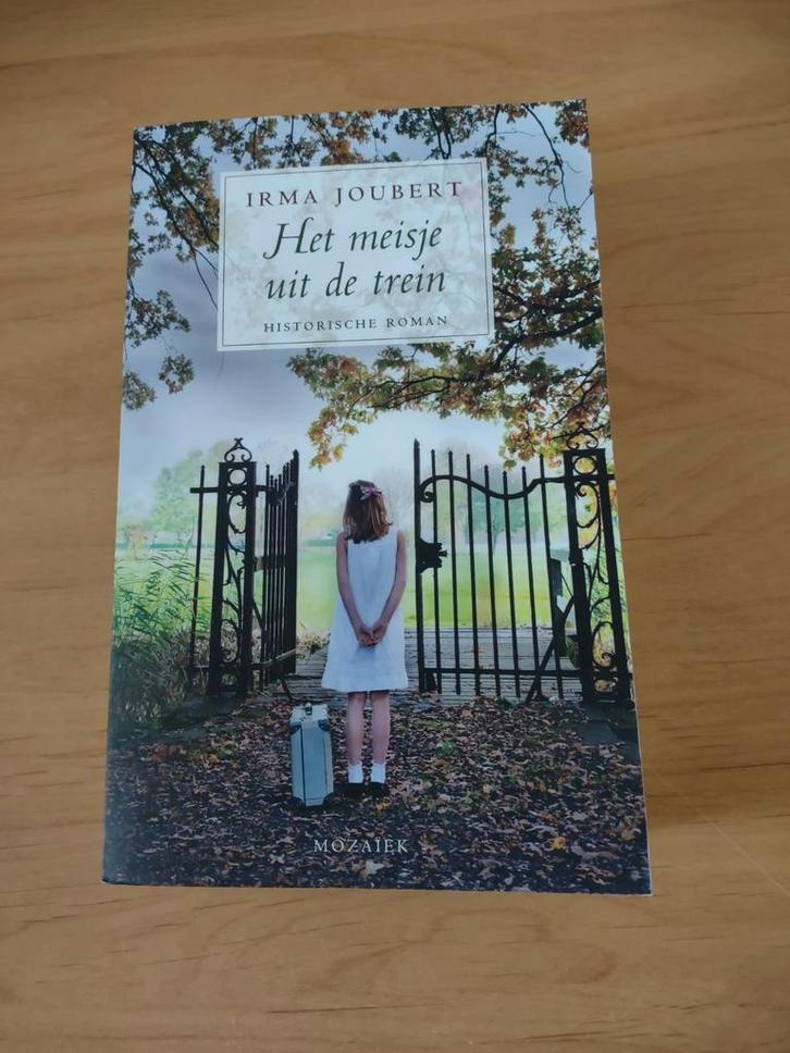 Het meisje uit de trein- Irma Joubert, Boeken, Historische romans, Zo goed als nieuw, Ophalen of Verzenden