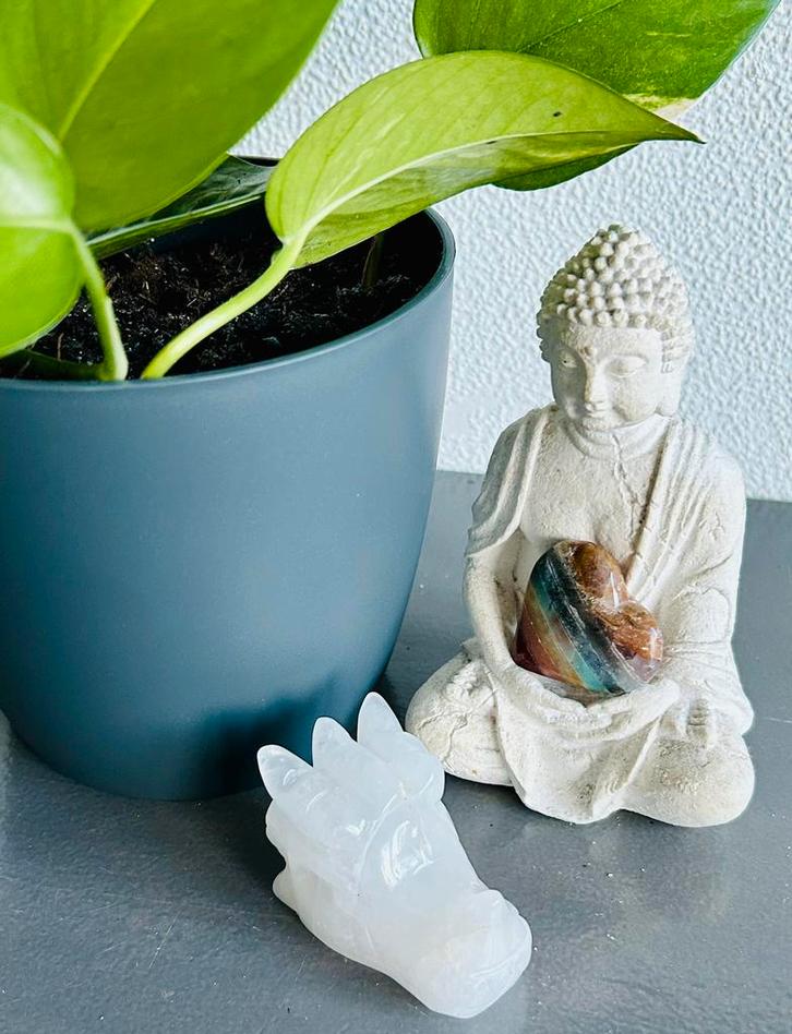 Fantastische Bergkristal Drakenschedel | 55mm | Zie Details, Verzamelen, Mineralen en Fossielen, Ophalen of Verzenden