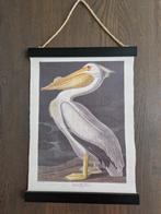Nieuw: Poster pelikaan, retro, vintage, Verzamelen, Posters, Nieuw, Ophalen