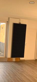 Jaga iguana design radiator, Ophalen, Radiator, Zo goed als nieuw, 80 cm of meer