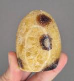 Septarie sculptuur, Ophalen of Verzenden