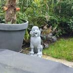 Poedel  van beton, Ophalen, Zo goed als nieuw