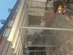 Honden ren, Dieren en Toebehoren, Hondenhokken, Hondenkennel, 100 cm of meer, Ophalen of Verzenden, 110 cm of meer