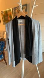 Grijs/zwart vestje m Zalando Essentials katoen polyester, Kleding | Dames, Truien en Vesten, Ophalen of Verzenden, Zo goed als nieuw